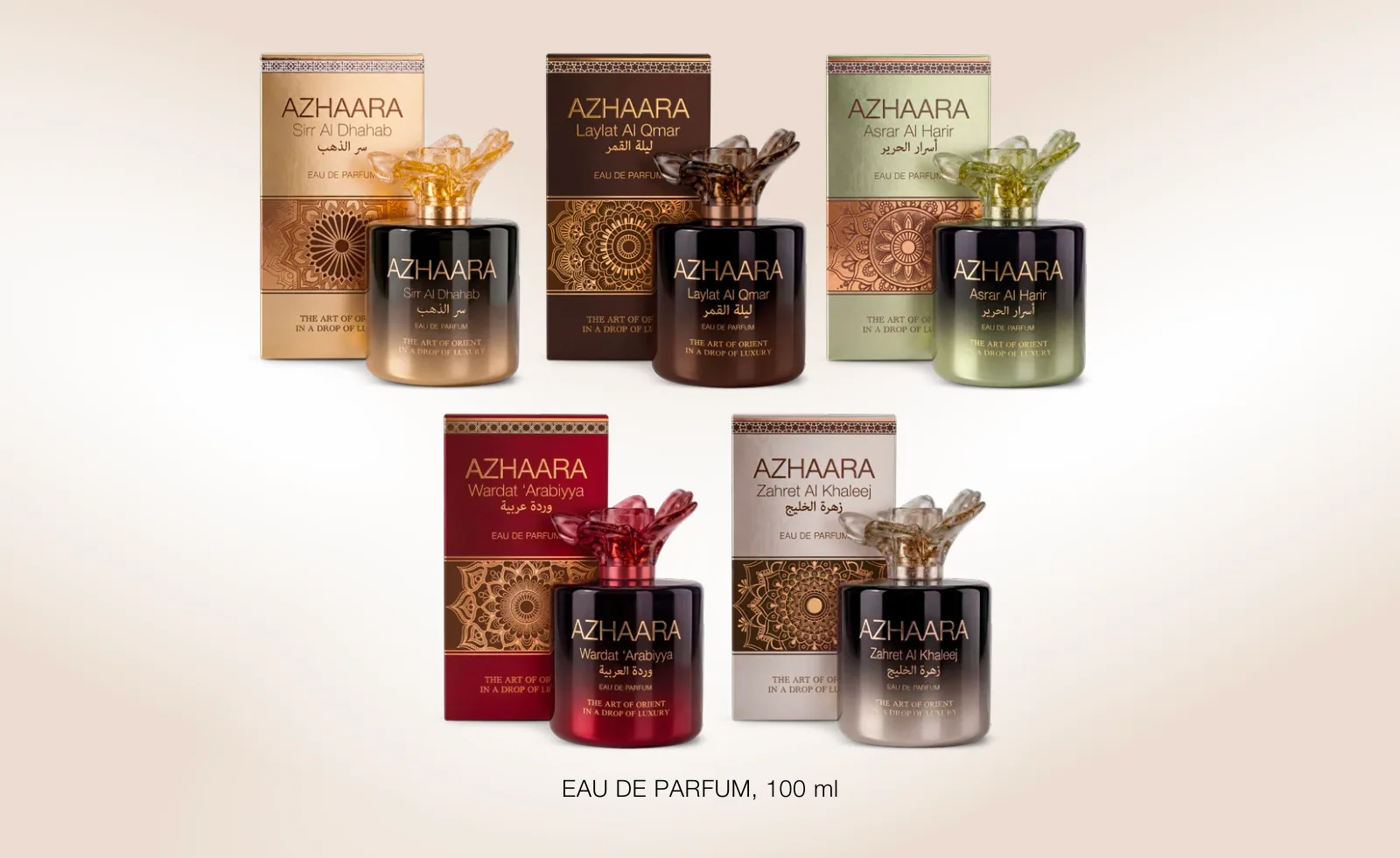 AZHAARA brand presentation, slide 5 of 9