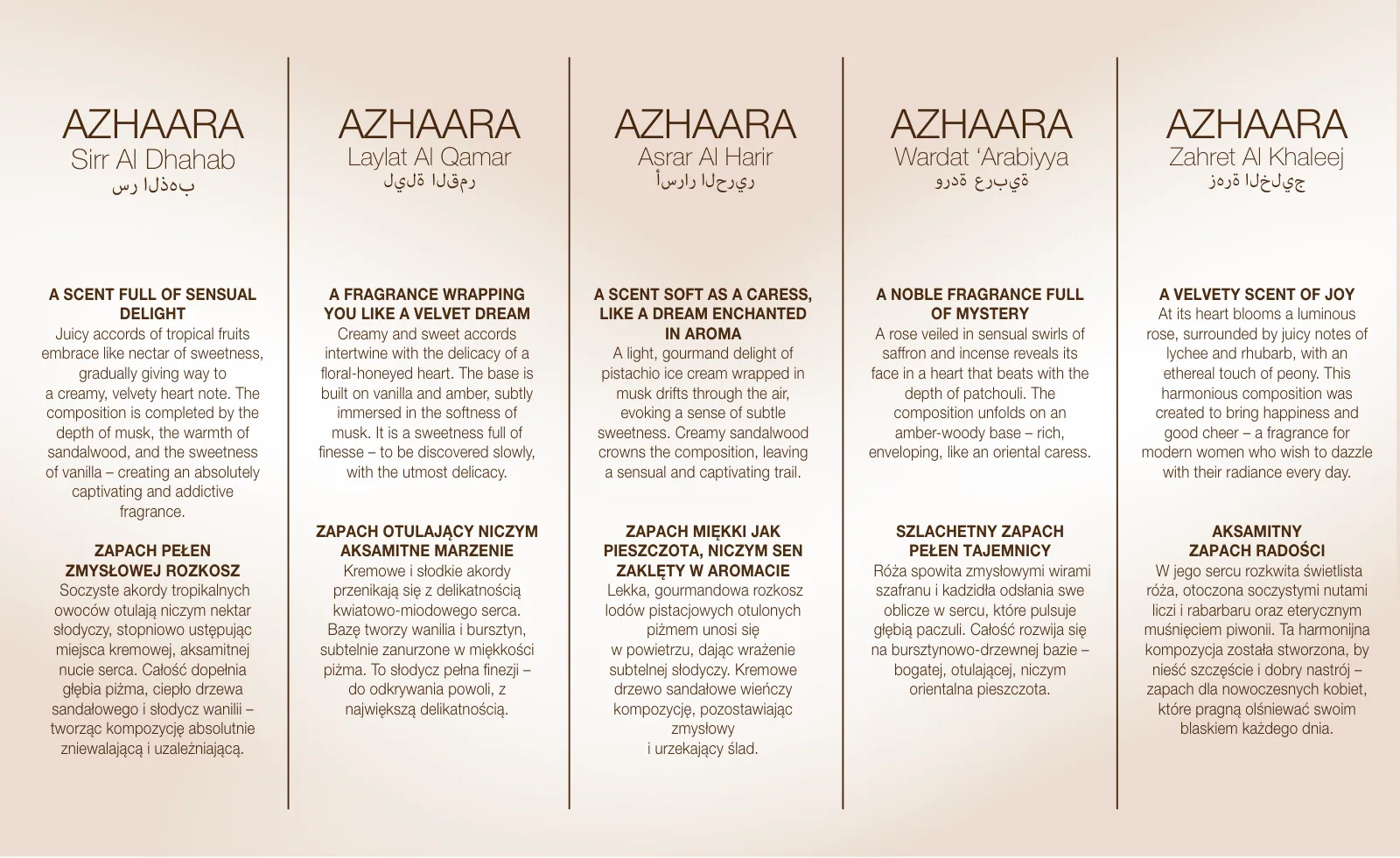 AZHAARA brand presentation, slide 8 of 9