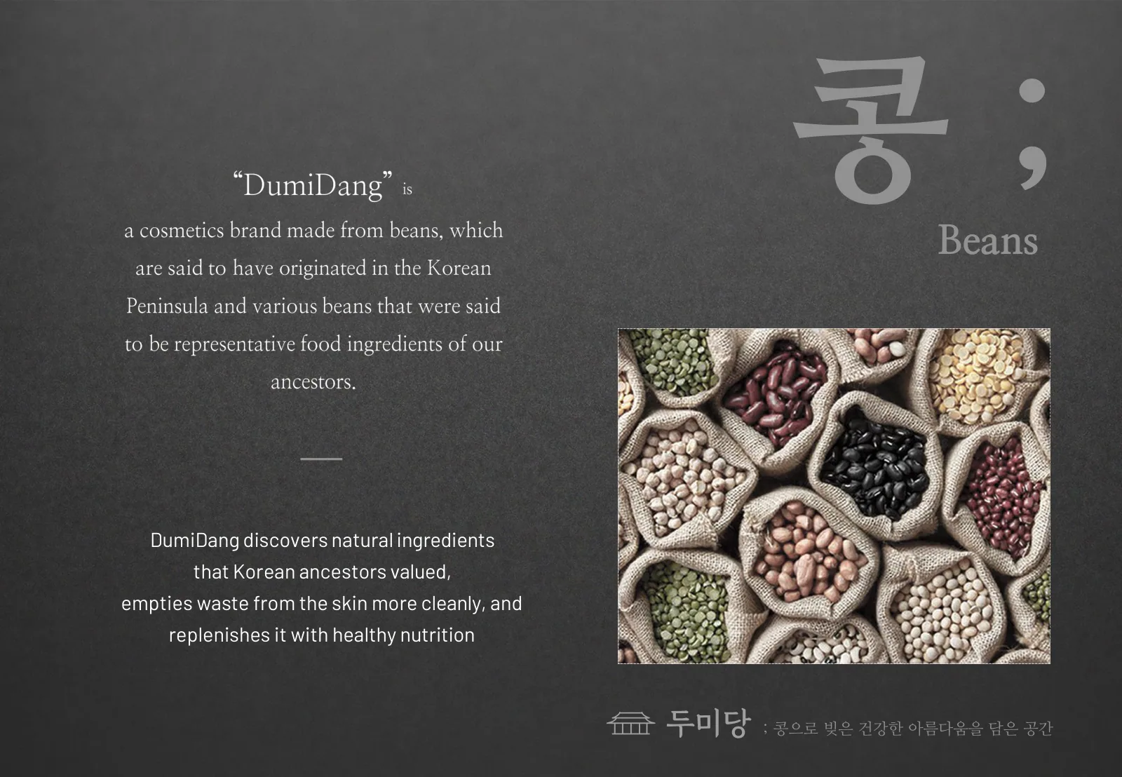 DUMIDANG brand presentation, slide 3 of 24