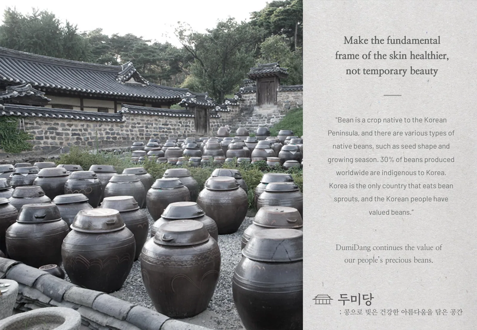 DUMIDANG brand presentation, slide 5 of 24
