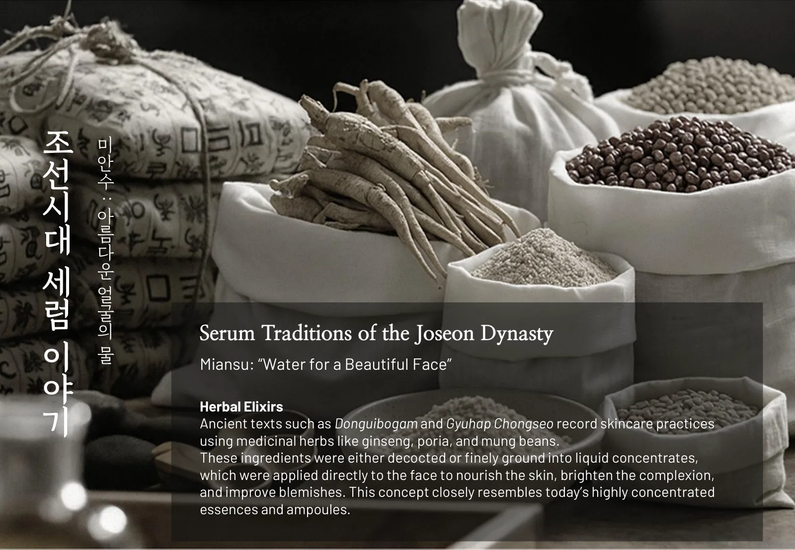 DUMIDANG brand presentation, slide 10 of 24