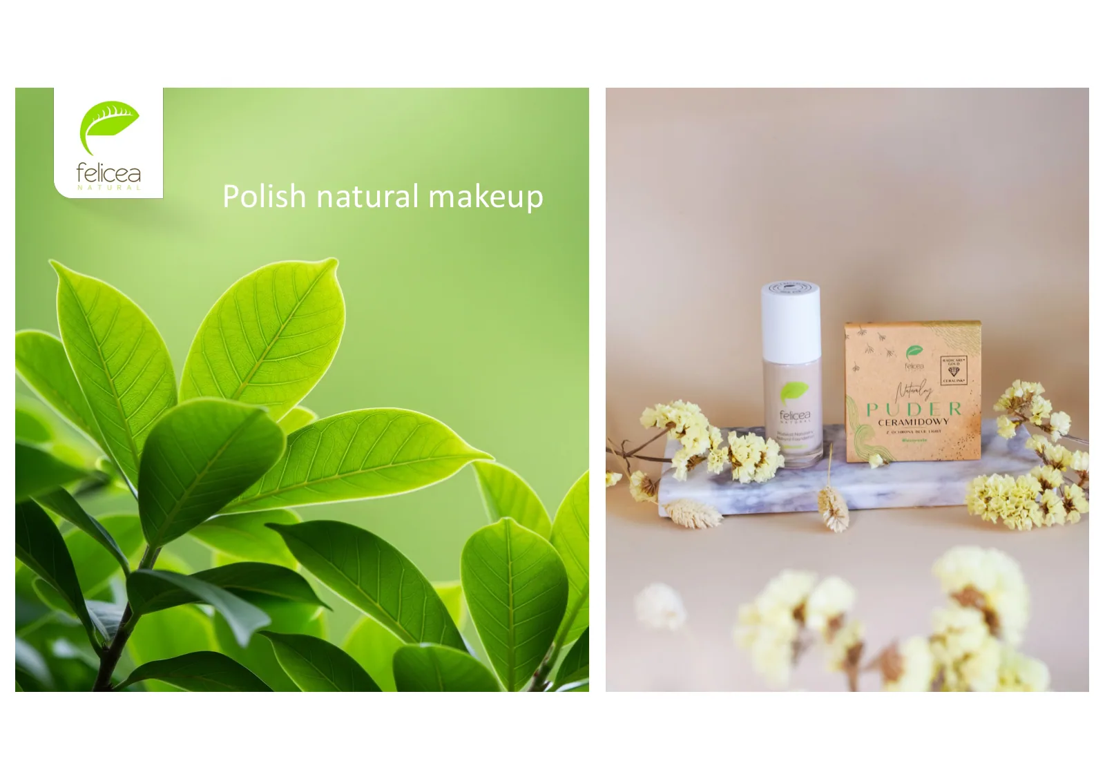 FELICEA brand presentation, slide 1 of 29