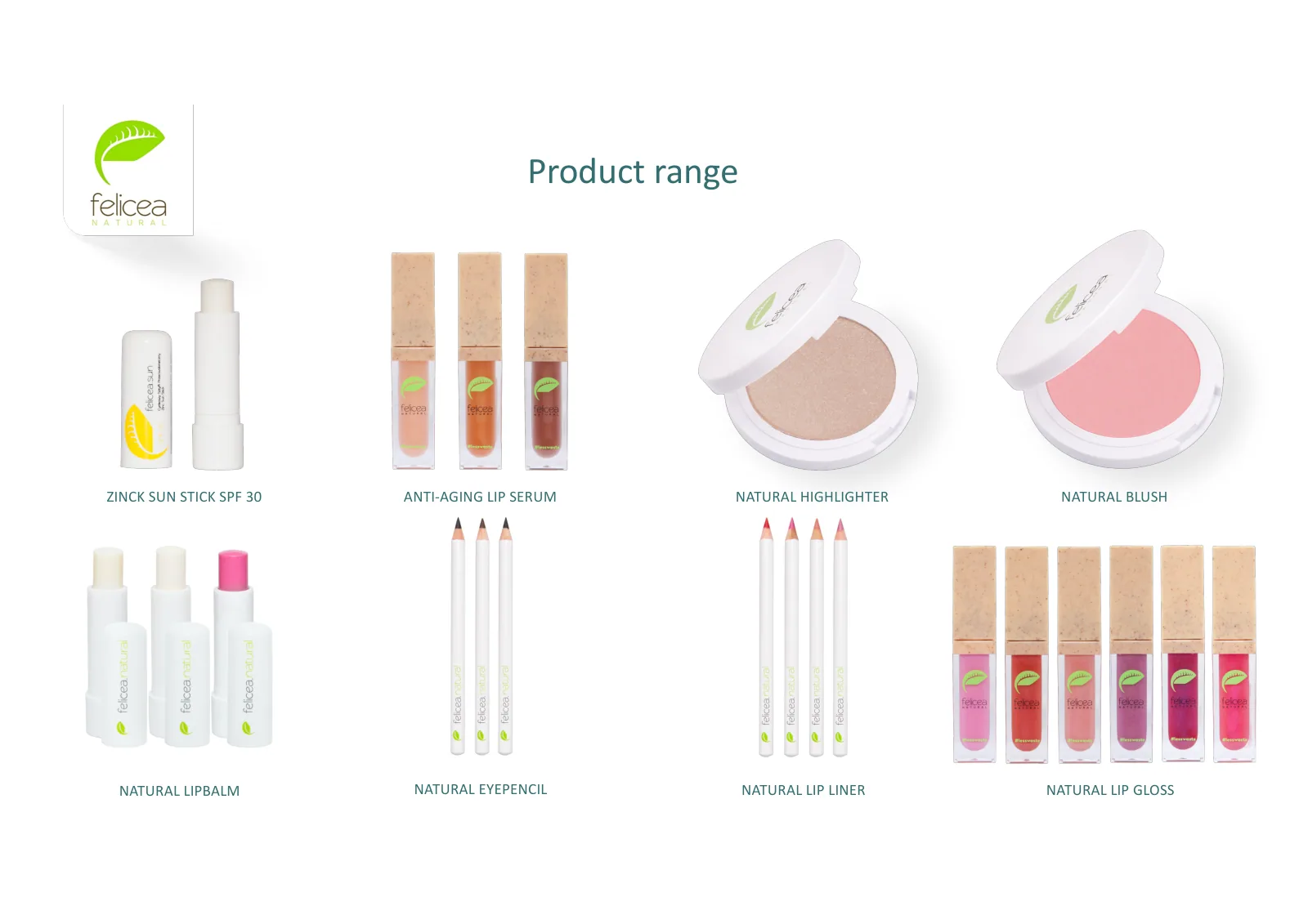FELICEA brand presentation, slide 4 of 29