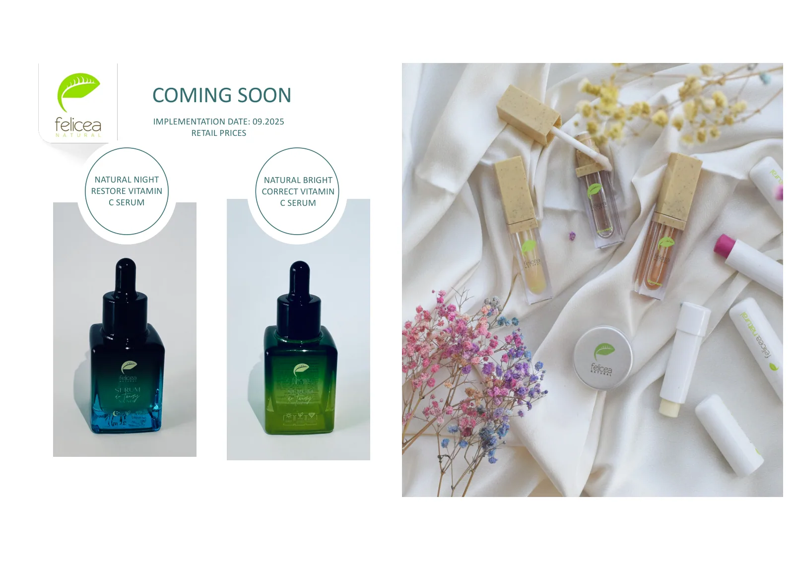FELICEA brand presentation, slide 6 of 29