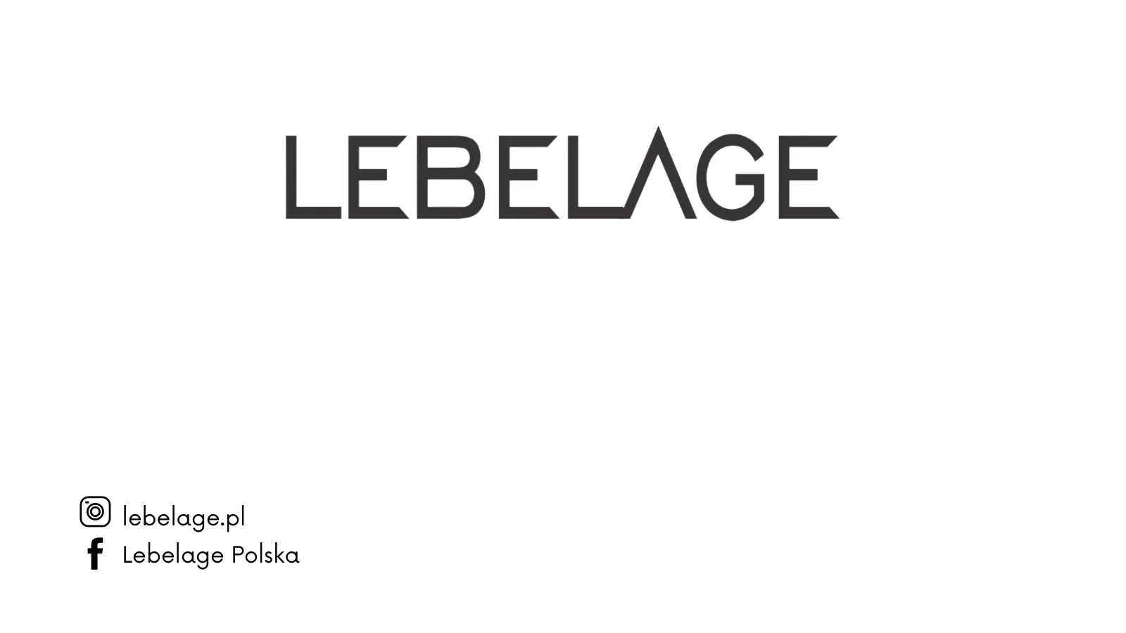 LEBELAGE brand presentation, slide 8 of 8